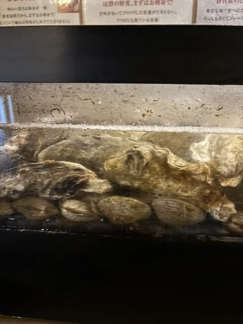 鱗 - 釧路（ろばた焼き）の写真