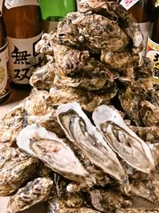 髭 北海道居酒屋 酔い処 - 旭川（海鮮）の写真