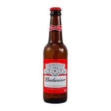 CURRY＆CAFE 乙カレー - 青葉（スープカレー）の写真