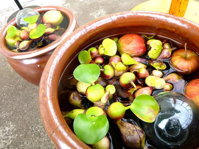 コハム（cohum） - 壮瞥町その他（カフェ）の写真