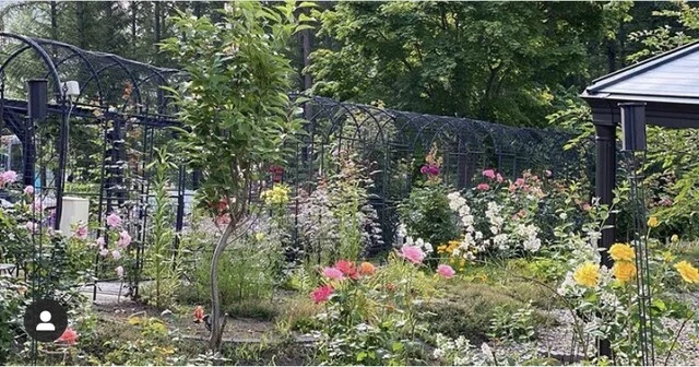 リッツ ガーデン 虹（Ritz Garden Niji） - 美馬牛（カフェ）の写真