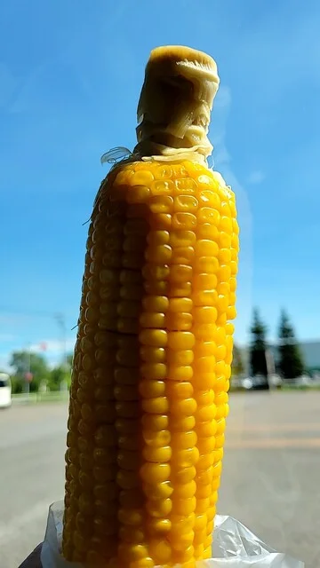 福井農園 - 納内（その他）の写真