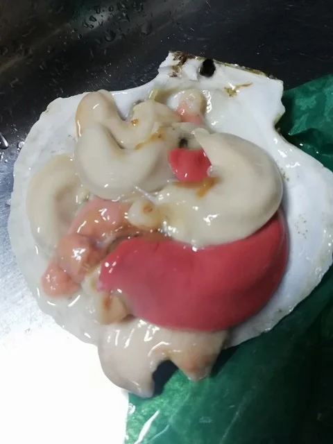 マリンハウス脇野沢 - むつ市その他（その他）の写真