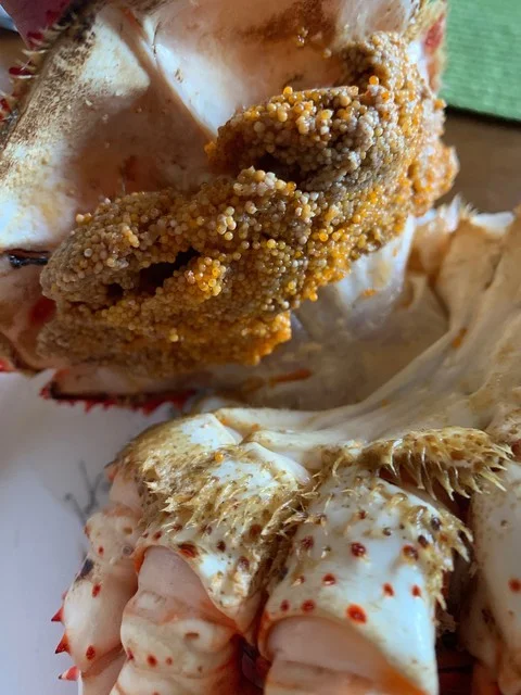 口コミ一覧 : シーフード オガワの写真