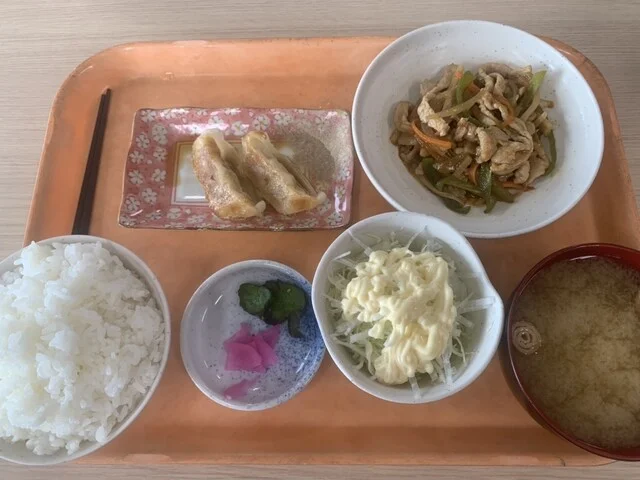 キッチンハーバー - 新富士（食堂）の写真