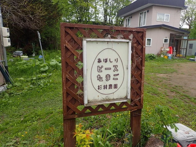 あばしりピースたまご - 北見市その他（その他）の写真