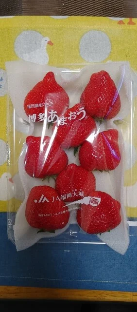 渡辺果実店 - 旭川四条（その他）の写真