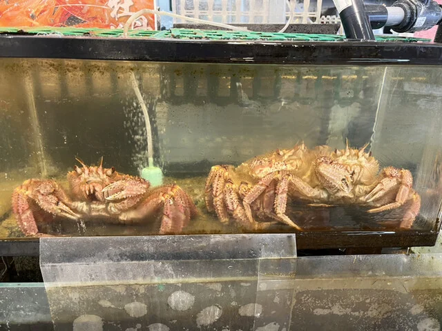 鱗商会堺町店 - 南小樽（海鮮）の写真