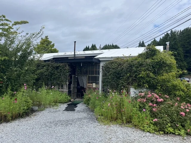 山帽子（ヤマボウシ） - むつ市その他（ラーメン）の写真