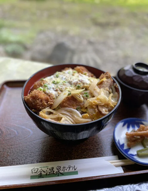 白金温泉ホテル - 美瑛町その他（ホテル）の写真