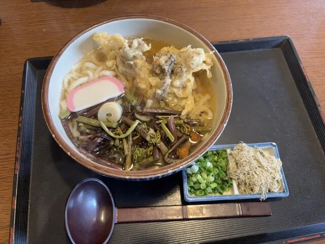 たんた家（たんたや） - 帯広（うどん）の写真