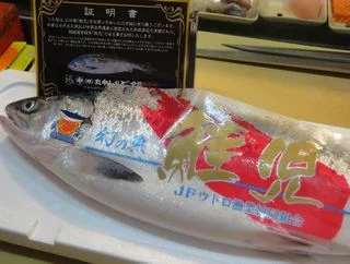 寿司処　旬（しゅん） - 小樽（寿司）の写真