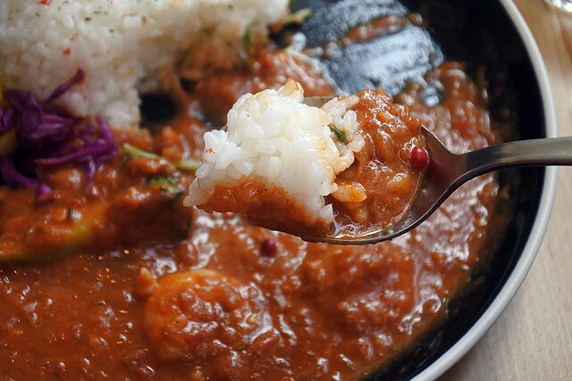 Ygeia（イギア） - 旭川（カレー）の写真