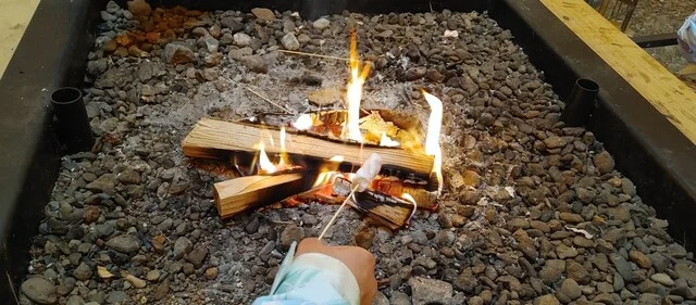 天園カフェ - 釧路市その他（カフェ）の写真