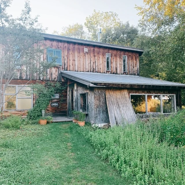 リーズカフェ（ries cafe） - 千代ケ岡（カフェ）の写真