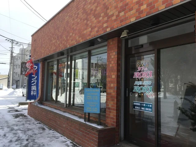 カフェ IROHA - 帯広（カフェ）の写真