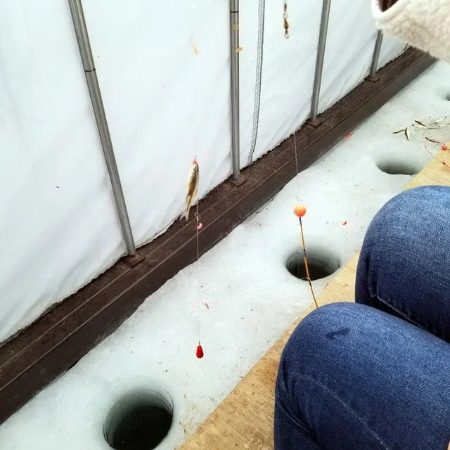 食事処 海兵 - 釧路市その他（揚げ物）の写真