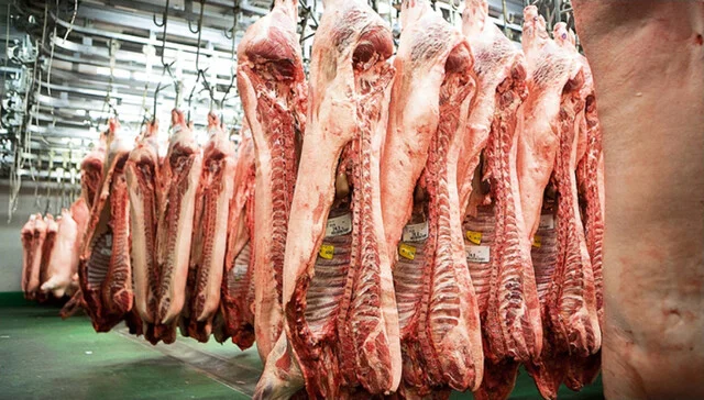 大正浪漫焼肉 金剛園 ろまん亭 沼ノ端店 - 沼ノ端（焼肉）の写真