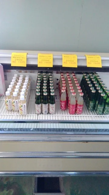 マリンハウス脇野沢 - むつ市その他（その他）の写真