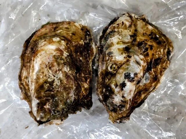 かき小屋 海の駅 ぷらっと港市場 - 苫小牧（海鮮）の写真