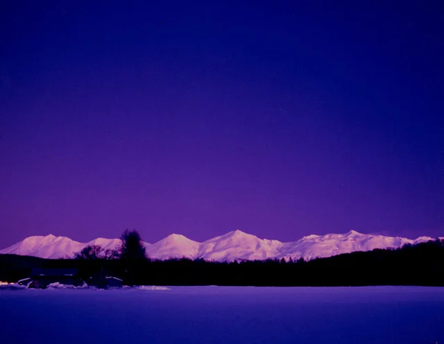 歩人（HOBBITO ホビット） - 美瑛（肉料理）の写真