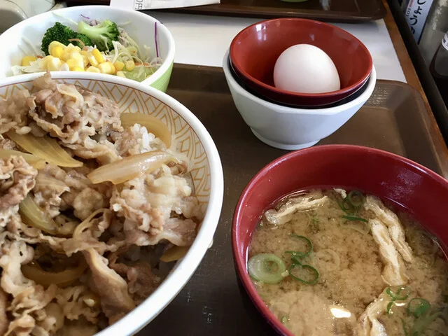 すき家 36号苫小牧明野店 - 苫小牧（牛丼）の写真