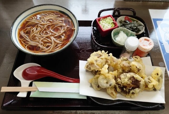 菫（スミレ） - 近文（そば）の写真