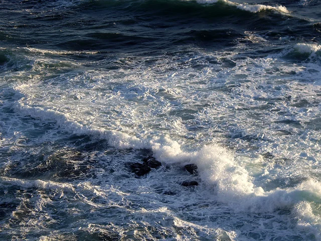 オホーツク産直市場　かにや - 網走（かに）の写真