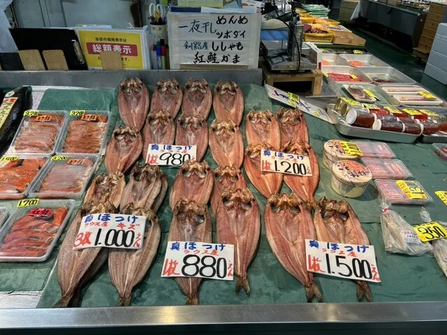 酒井商店 - 釧路（その他）の写真