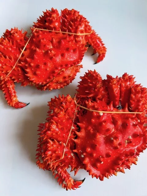 はなさきに、、、にんじん！、、、オヤジ、、、謀ったなぁ～～～ : カサイ商店の写真