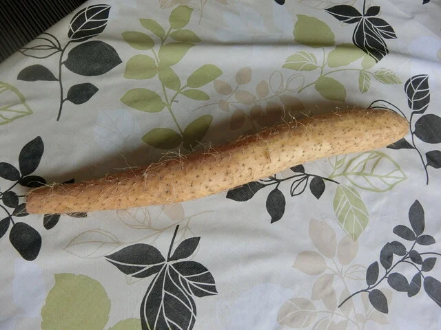 JA帯広かわにし 特産品直売所 - 帯広（その他）の写真