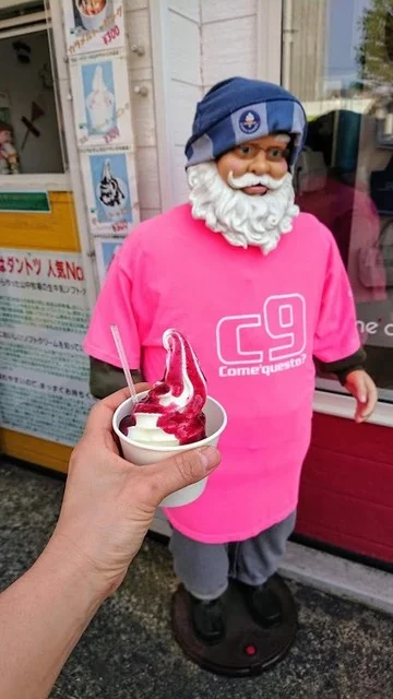 コメクエスト（come' questo?） - 南小樽（ジェラート・アイスクリーム）の写真