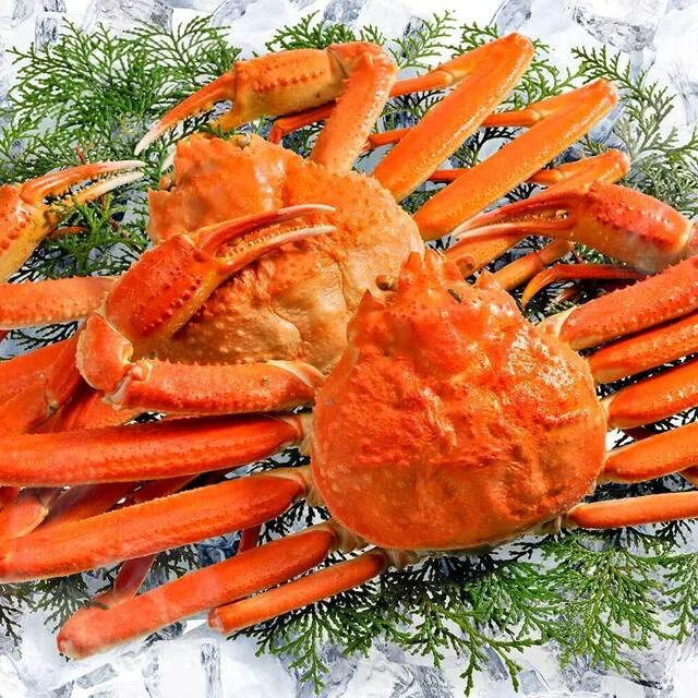 居酒屋 ばんきり酒場 - 釧路（おでん）の写真