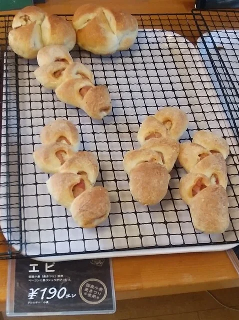 森のくまさん - 洞爺（パン）の写真