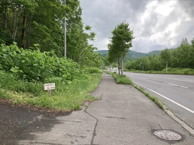 トコシエの森 - 銭函（ピザ）の写真