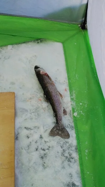 食事処 海兵 - 釧路市その他（揚げ物）の写真