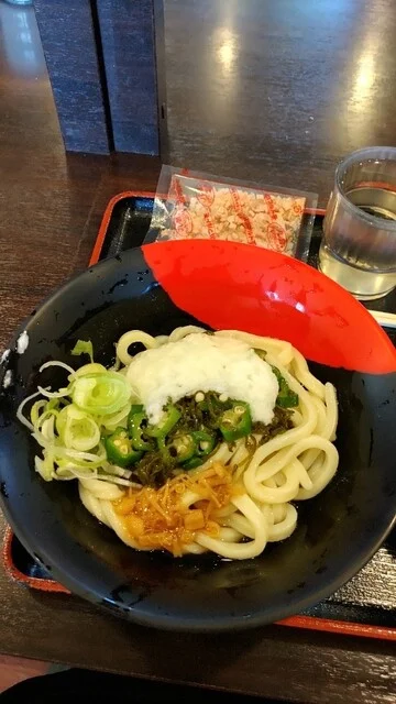 伊予製麺 帯広店 - 帯広（うどん）の写真