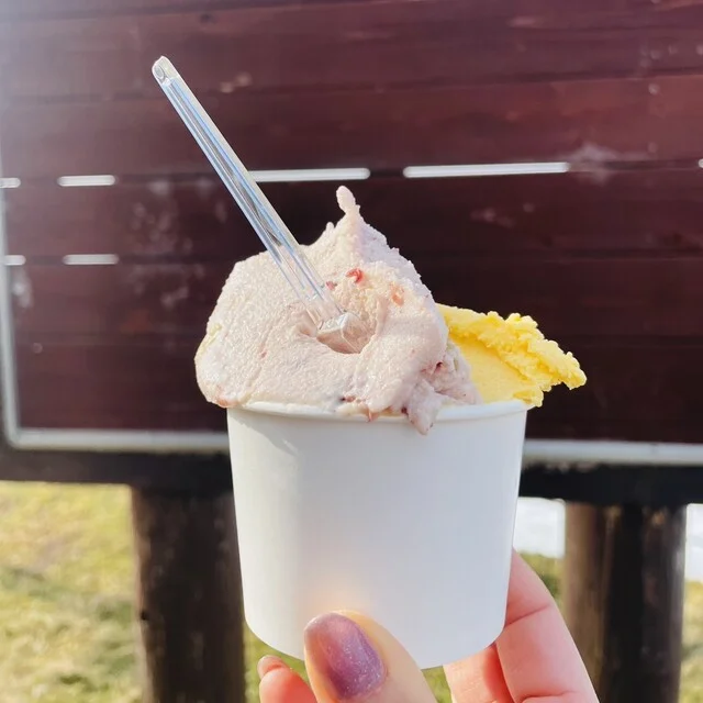 レークヒル・ファーム 道の駅あぷた店（Lale Hill Farm） - 有珠（ジェラート・アイスクリーム）の写真