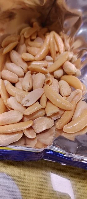 ショッピングパルコながい - 釧路市その他（その他）の写真