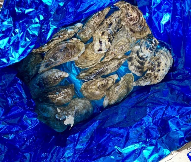 口コミ一覧 : 魚信 本店の写真