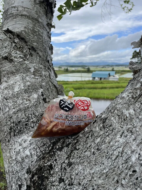 ジンギスカンの博 - 永山（その他）の写真