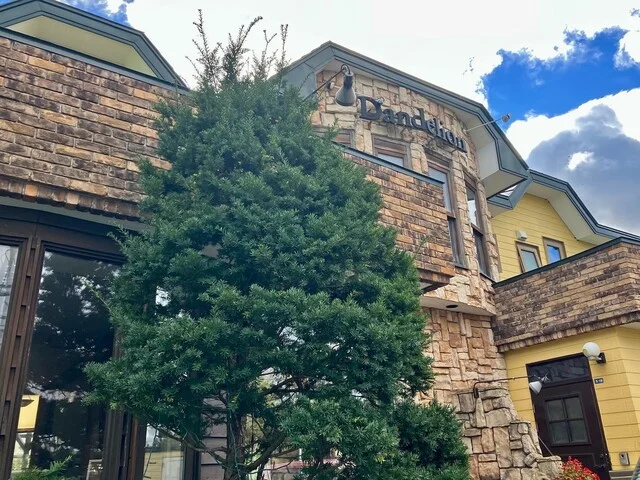 TEA＆FOODS Dandelion（ティーアンドフーズ ダンディライオン） - 糸井（洋食）の写真