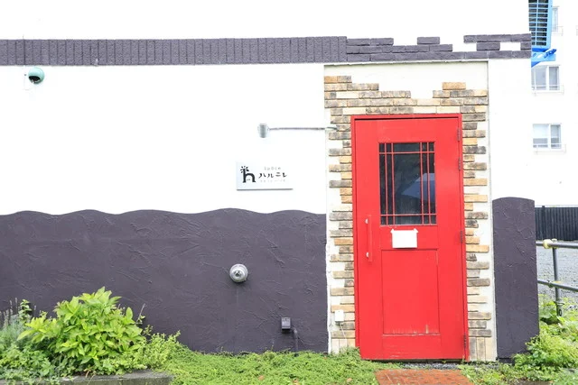 ハルニレカフェ - 旭川（カフェ）の写真