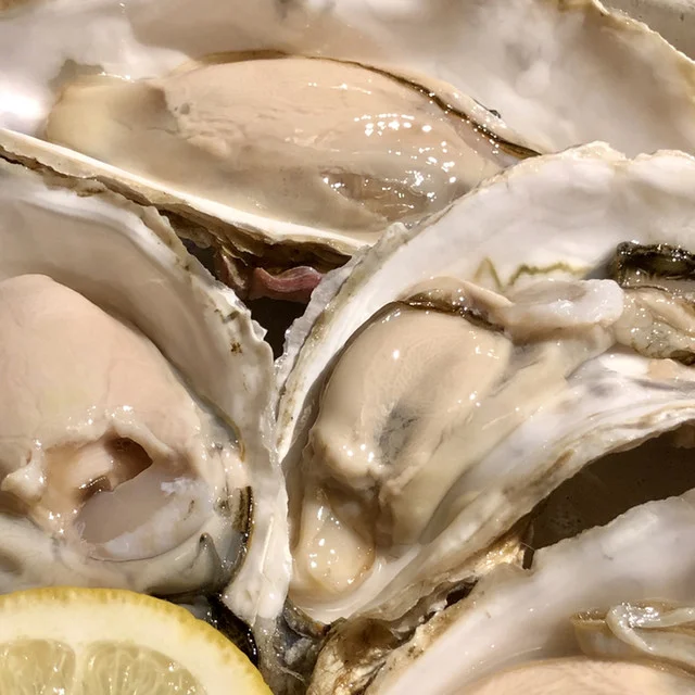 稚鬼稚鬼（ちきちき） - 釧路（居酒屋）の写真