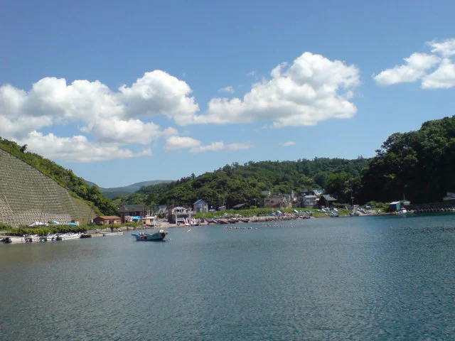 レストラン HAMMER HEAD（ハンマーヘッド） - 蘭島（パスタ）の写真