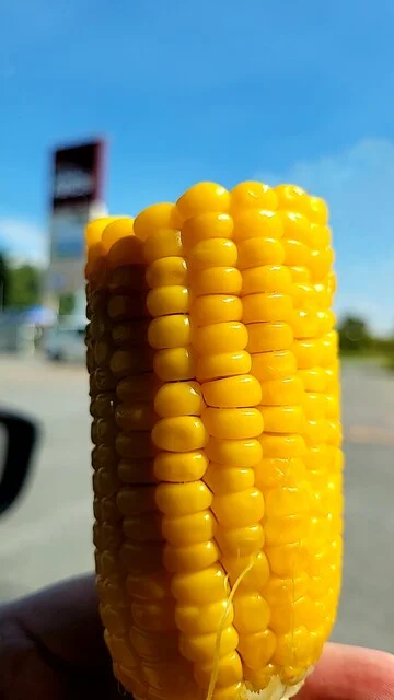 福井農園 - 納内（その他）の写真