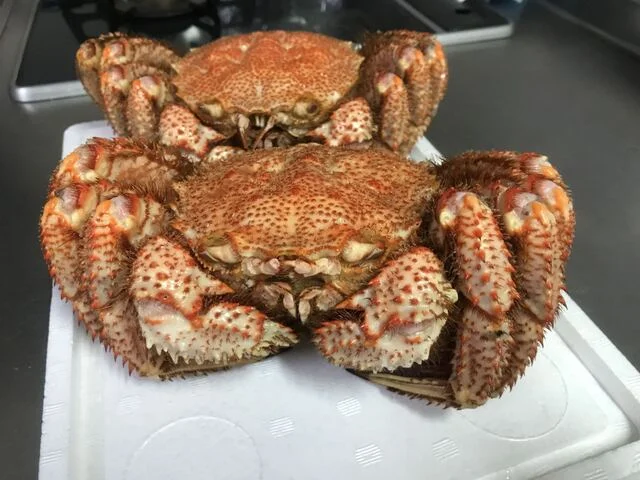 根室海鮮市場カネカイチ鈴木商店 - 根室（その他）の写真