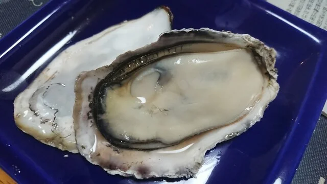 サンヒルズ - 桂台（その他）の写真