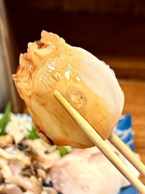 炉ばた焼 浦シマ（ウラシマ） - 沼ノ端（居酒屋）の写真