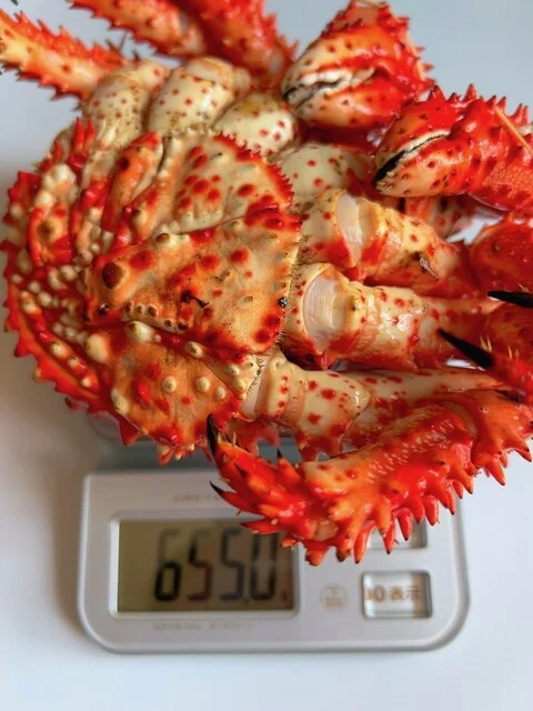 はなさきに、、、にんじん！、、、オヤジ、、、謀ったなぁ～～～ : カサイ商店の写真